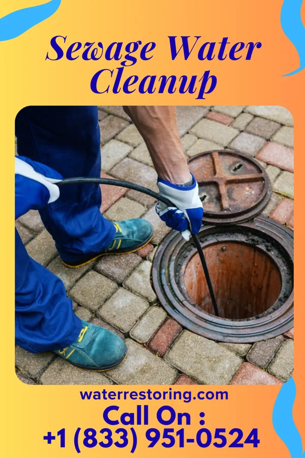 Sewage Water Cleanup in Yah-ta-hey, NM
